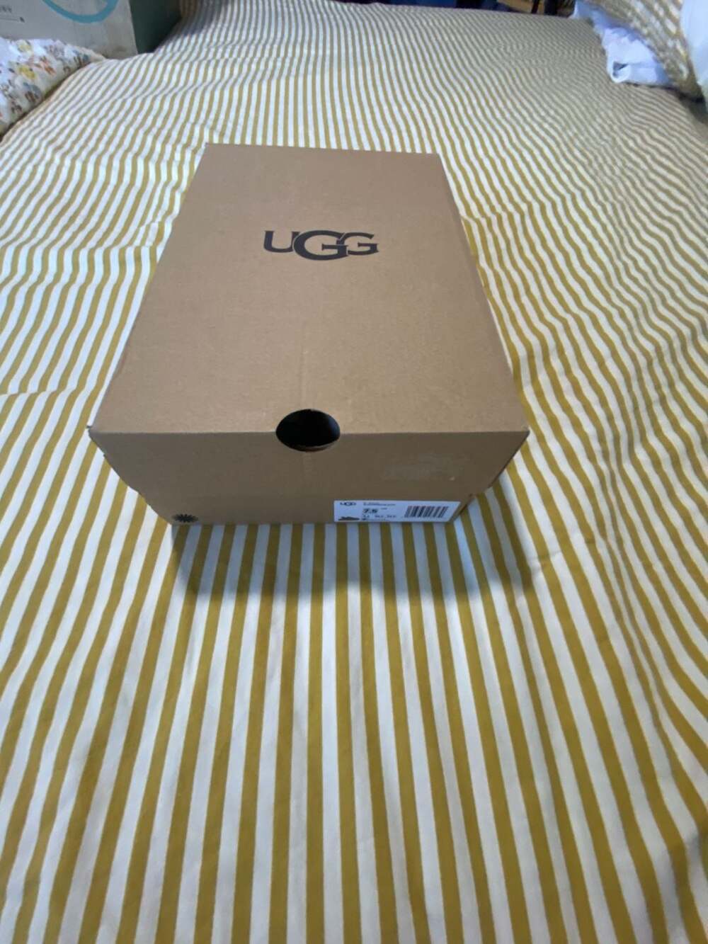 UGG Goldenstar Clog Size 7.5 Chestnut Suede Slip-On